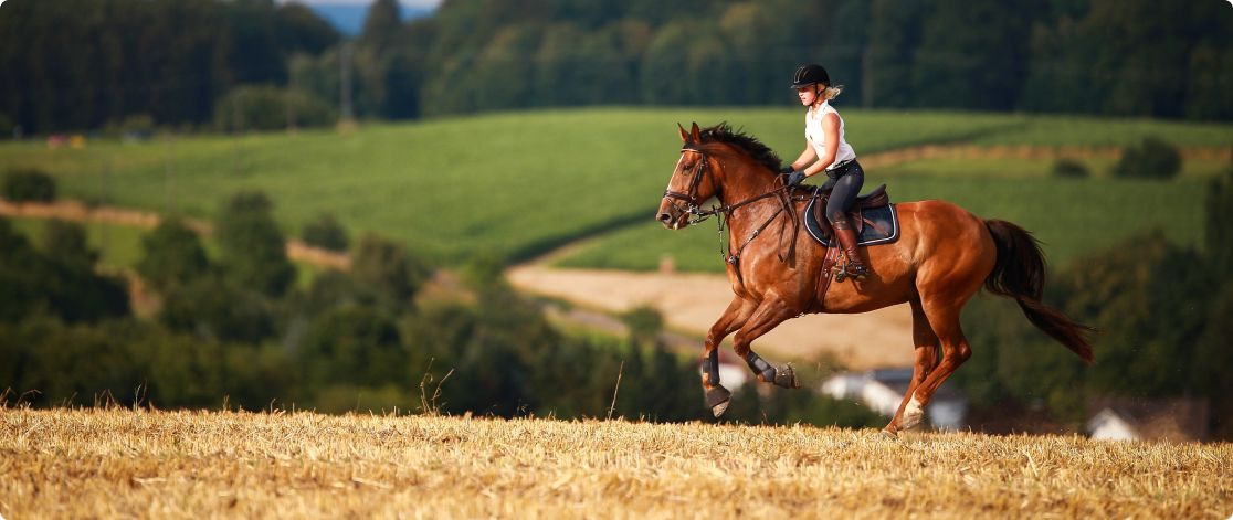 Young woman riding a horse across an open field